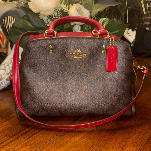 Coach Signature Lillie  Mini Carryall Women’s Crossbody Brown Red Bag - Picture 1 of 12